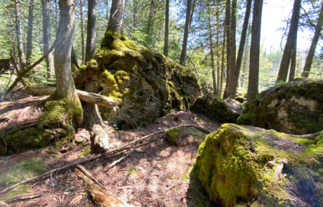 Ope! We Just Discovered 99 More Free Things to do in Michigan