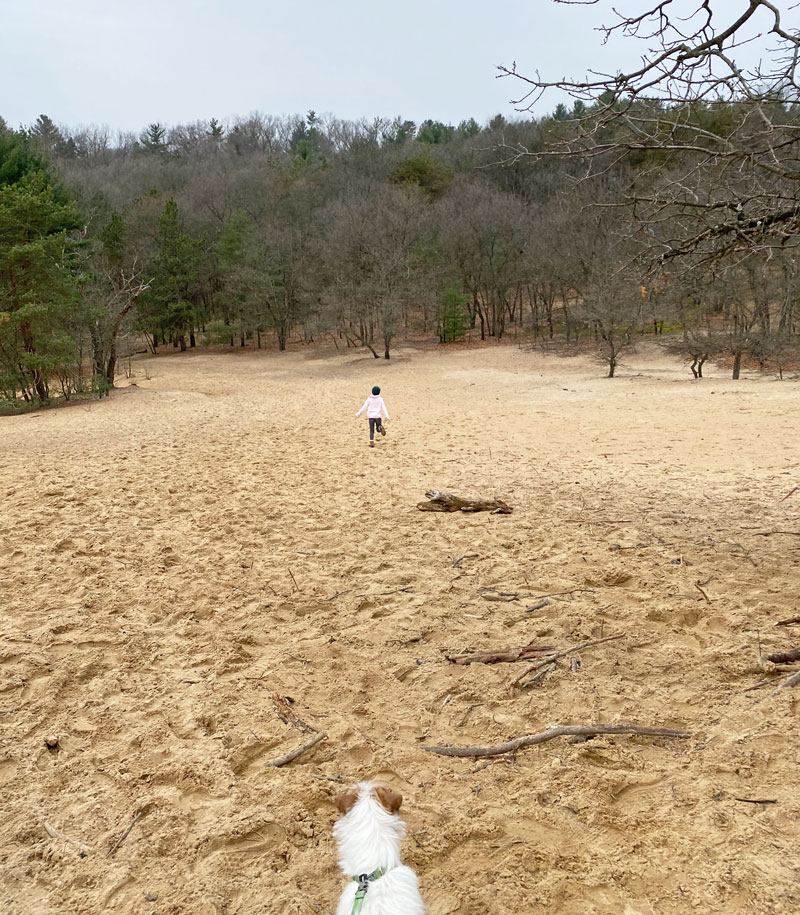 Provin Trails girl running down the dune
