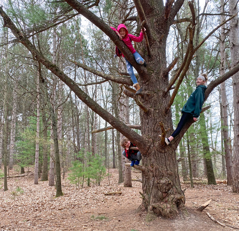 Provin Trails kids in tree Hunt