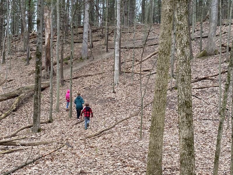 Provin Trails kids walking trail Hunt