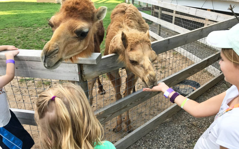animal-farms-petting-zoos-25-farms-for-kids-to-visit-in-west