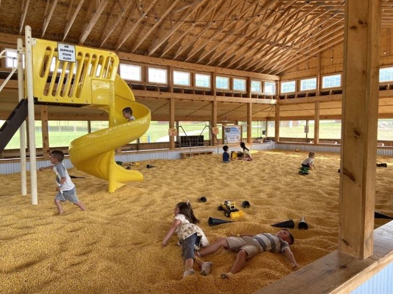 Lewis Farms 2024 Mosey Over to this FunFilled Adventure Farm & Petting Zoo near the Lake