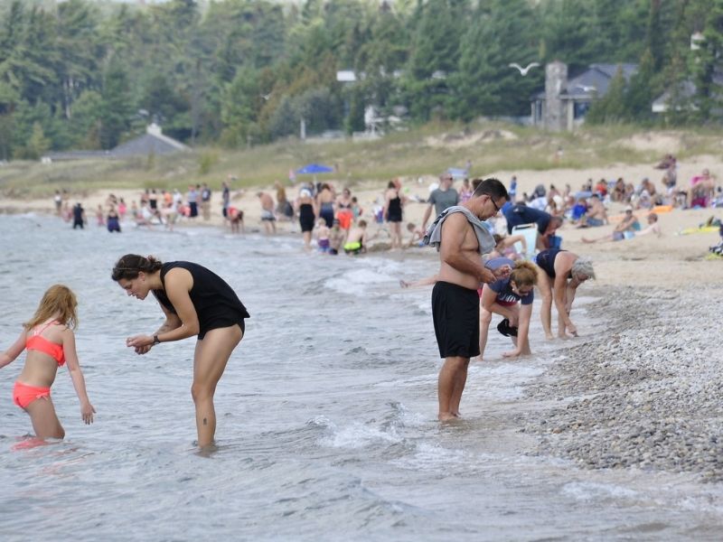 Petoskey State Parks searching for Petoskey Stones