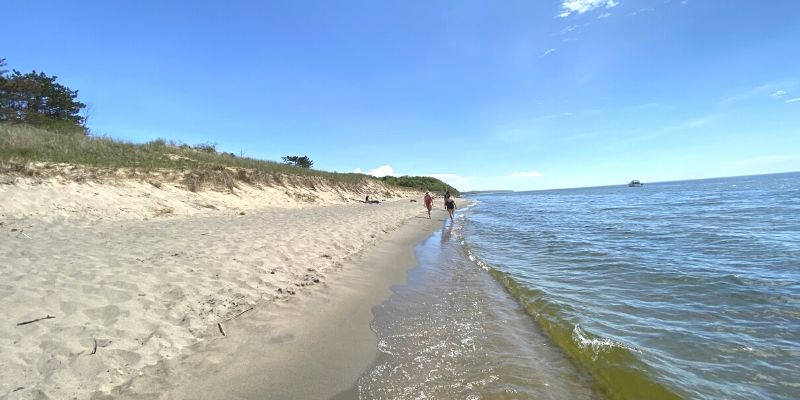 lake michigan beach saugatuck dunes state park