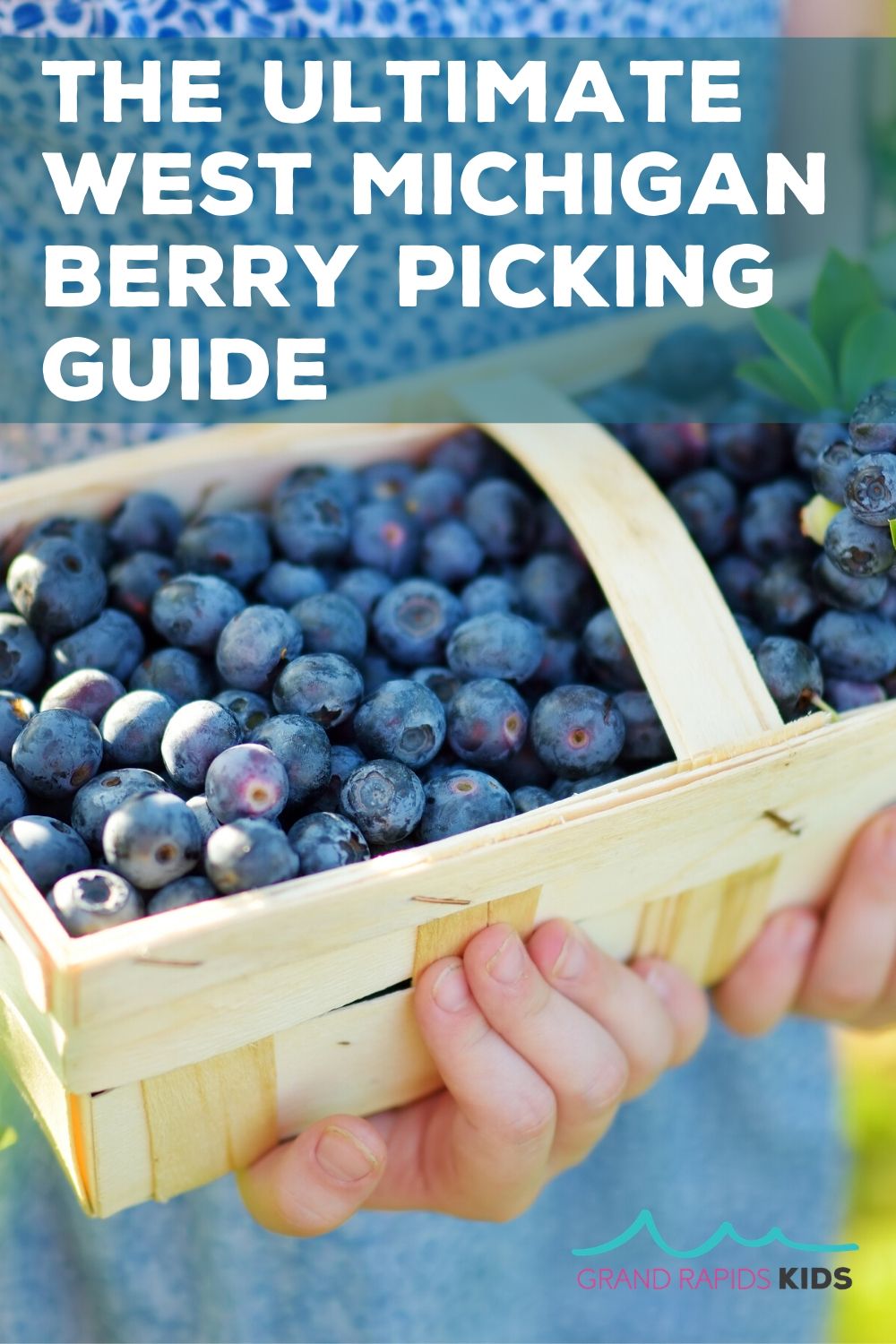 the ultimate west michigan berry picking guide 