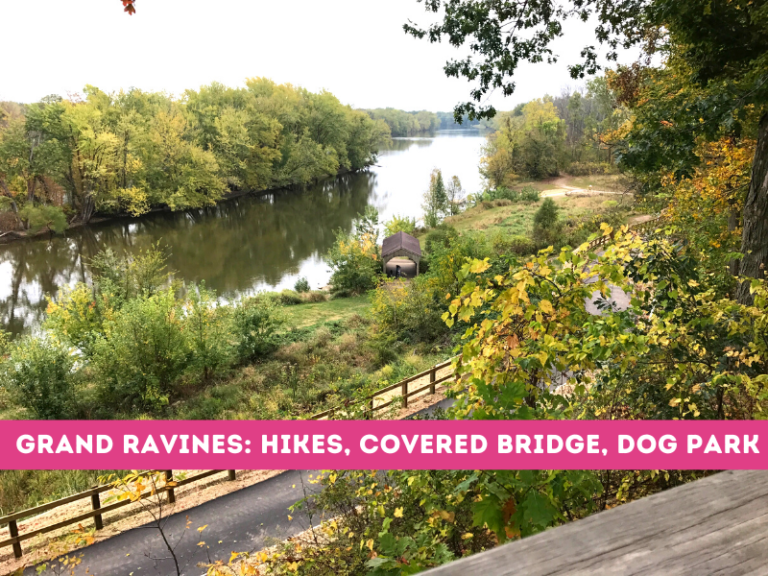 Grand Ravines Park Have a Blast with the Dog Park, Suspension Bridge