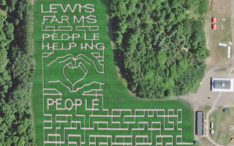 Lewis-Farms-Corn-Maze