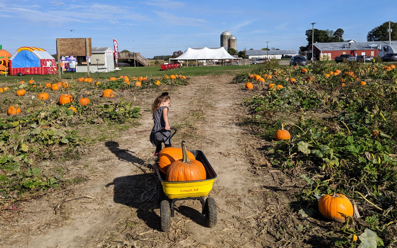 heidis pumpkin patch lowell michigan