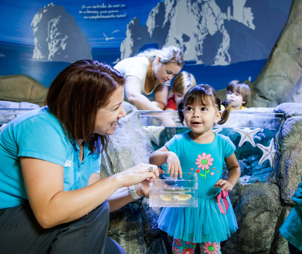 Sea Life Aquarium girl touching animal in ocean