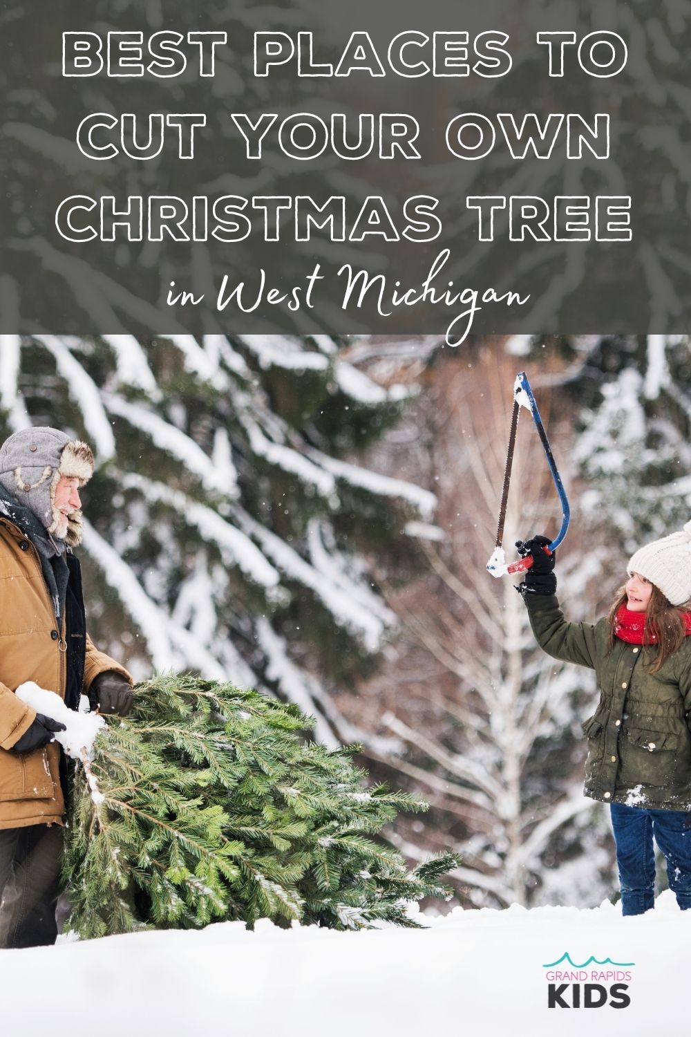 15+ Unforgettable Christmas Tree Farms in West Michigan that Let You Cut Your Own Christmas Tree