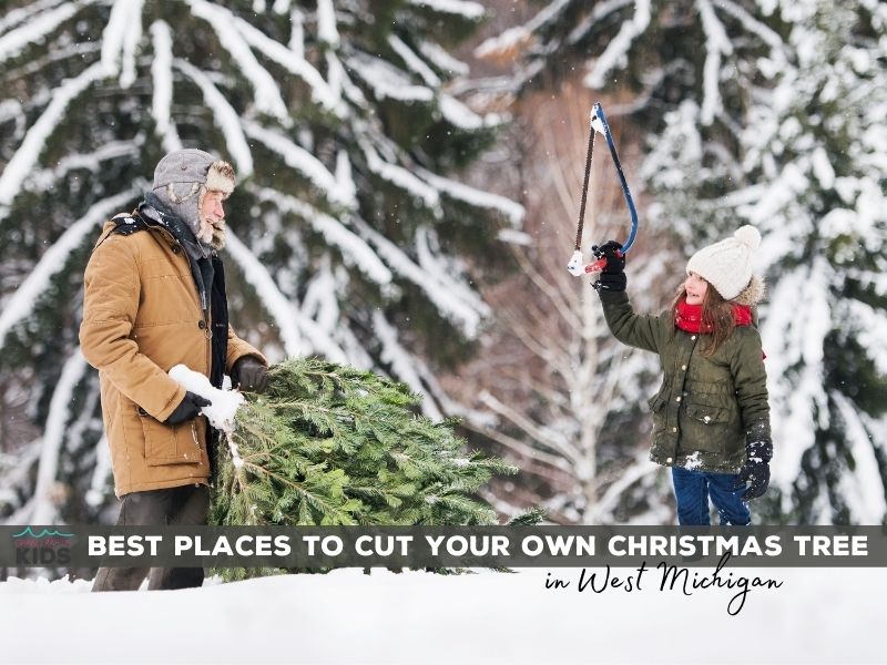 15+ Unforgettable Christmas Tree Farms in West Michigan that Let You Cut Your Own Christmas Tree