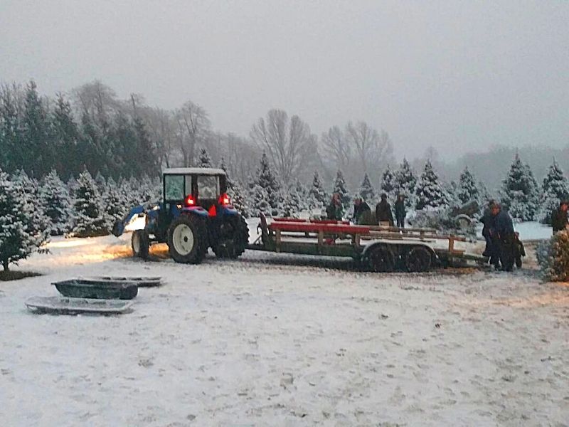 Janke u cut christmas tree farm in Allegan, MI