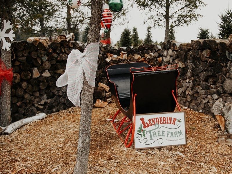 Lenderink U Cut Christmas Tree Farm 2