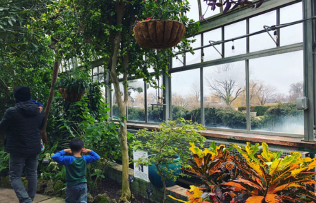 Belle-Isle-Conservatory-Palm-room