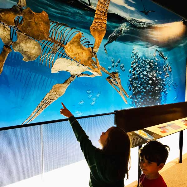 Kids at UM Museum of Natural History is part of free museums near me