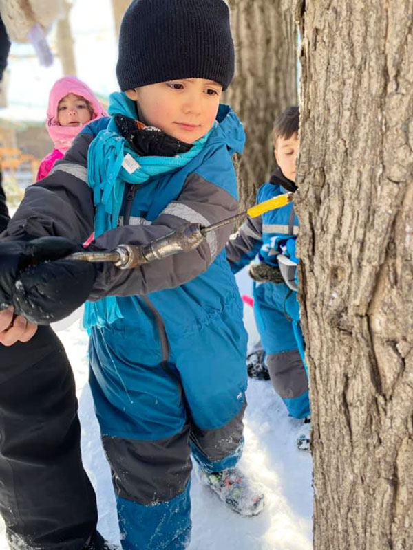kids tapping trees at West Side Christian School