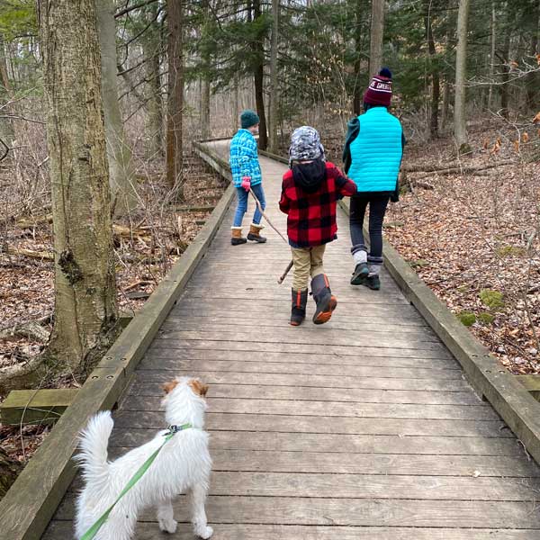 Walk-through-trails-in-Michigan-kids-and-dog-on-path