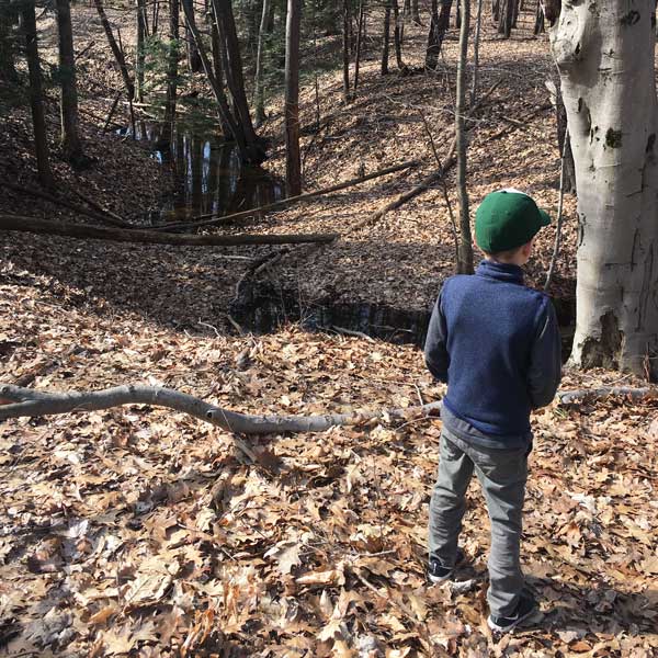 boy hiking at Pigeon Creek Park. 