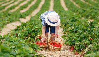 local resources 350x200 1