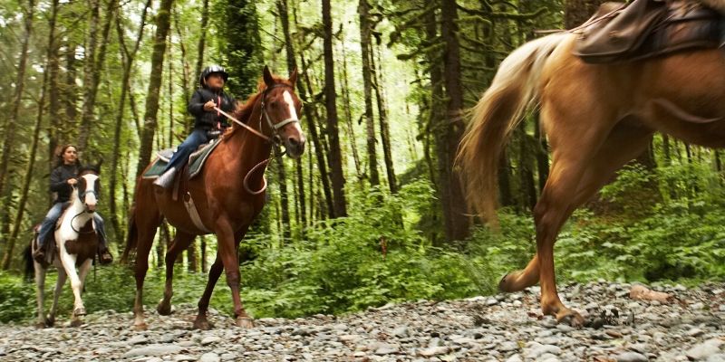 things to do_ horseback riding
