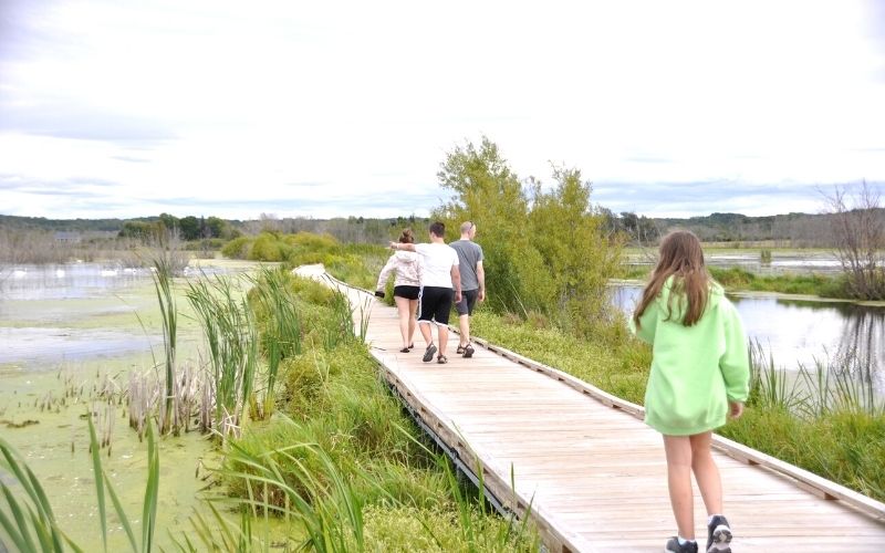 Arcadia Marsh Nature Preserve boardwalk 1