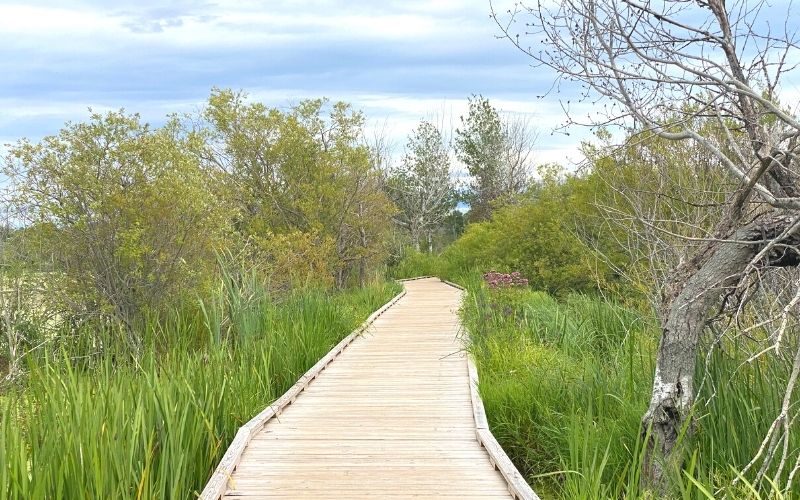 Arcadia Marsh Nature Preserve boardwalk 