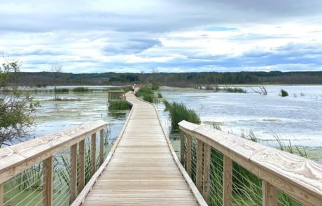Arcadia Michigan Marsh Nature Preserve boardwalk