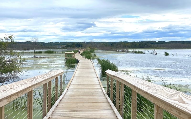 Arcadia Marsh Nature Preserve boardwalk