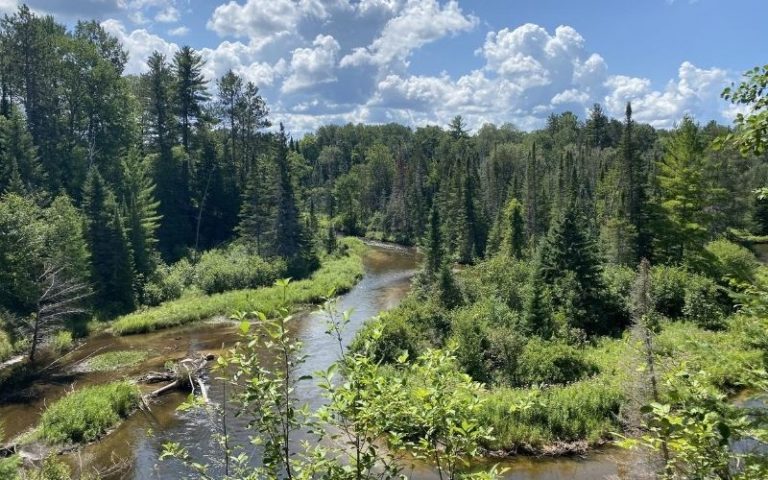 Put the Michigan Nature Megaphone Hike on Your List the Next Time You ...