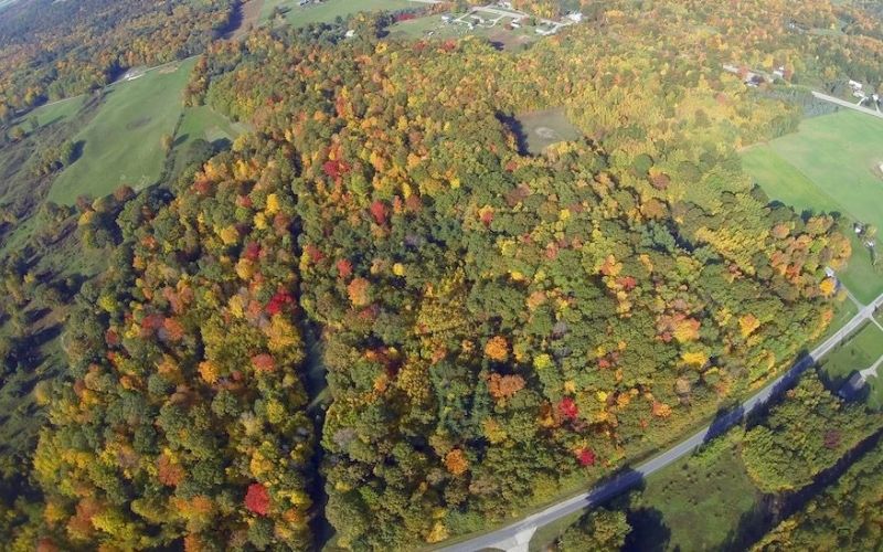 9 Thrilling Ways to Experience Fall Colors with Your Family in 2020 1