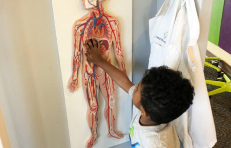 "Museums for All" Gives FREE Michigan Museum Admission to Families with an EBT Card