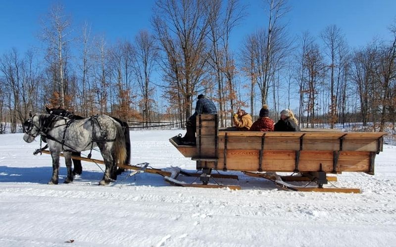 Healey's Outback Ranch grand rapids sleigh rides