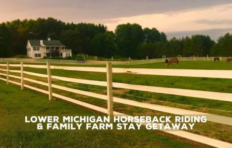 Healey's Outback Ranch & Guesthouse
