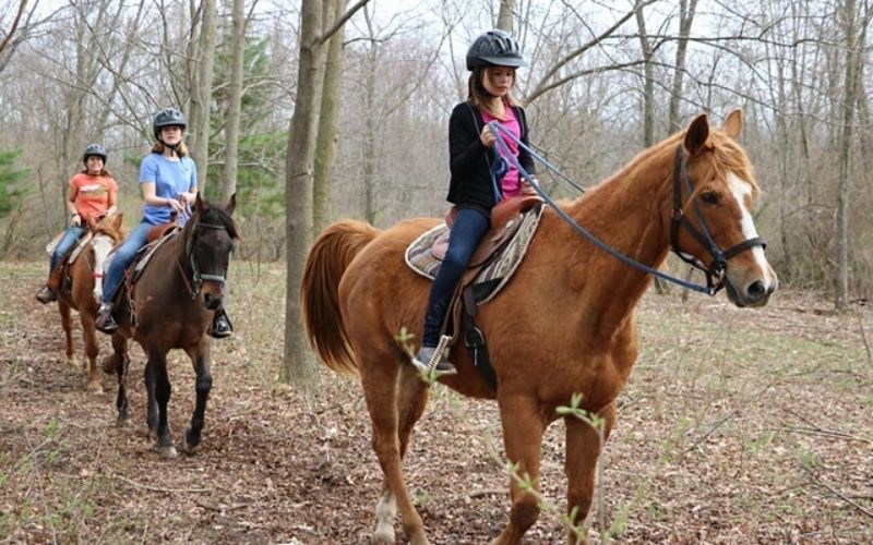 camp henry trail ride