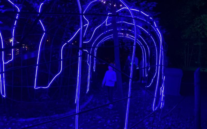 The MileLong Magical Nighttime John Ball Zoo Light Show, IllumiZoo, is