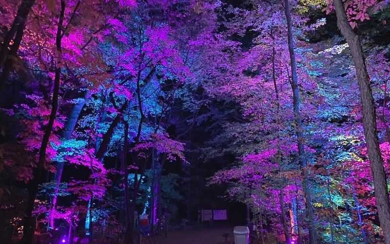 The MileLong Magical Nighttime John Ball Zoo Light Show, IllumiZoo, is