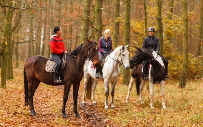 Things to Do in the Fall in Michigan color tour horse trail ride