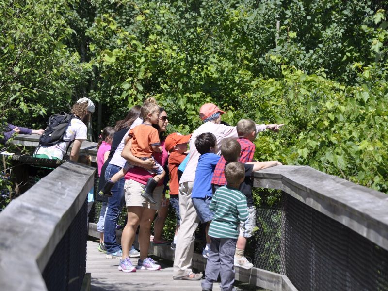 michigan nature centers - outdoor discovery center
