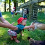 Ultimate Toddler Activities Guide: 20+ Things to Do with Toddlers in West MI