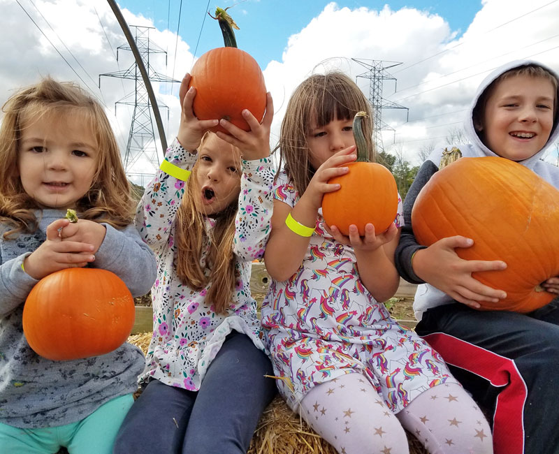 kids at pumpkin patch at Post Family Farm