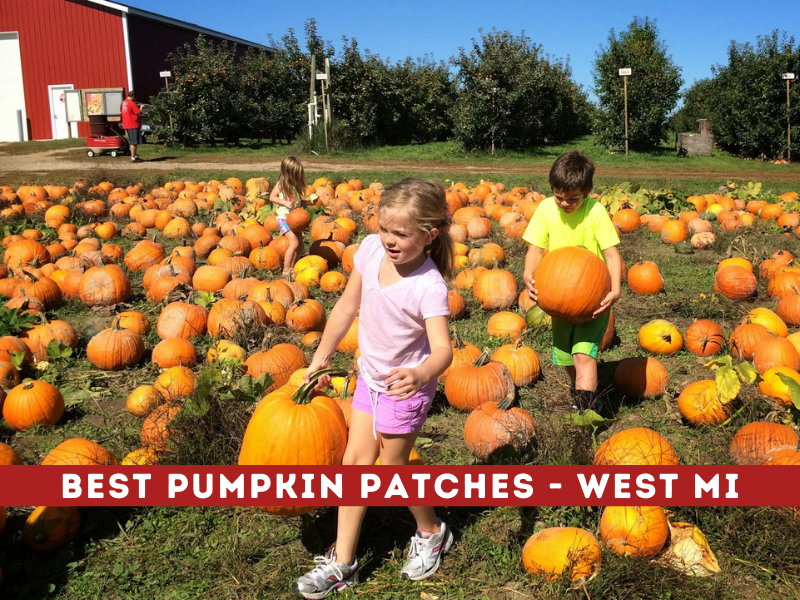 Best Local Pumpkin Patches 15+ Farms with Unbeatable Fall Fun