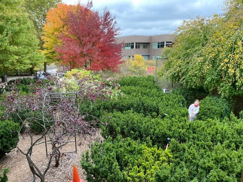 frederik meijer gardens children's garden