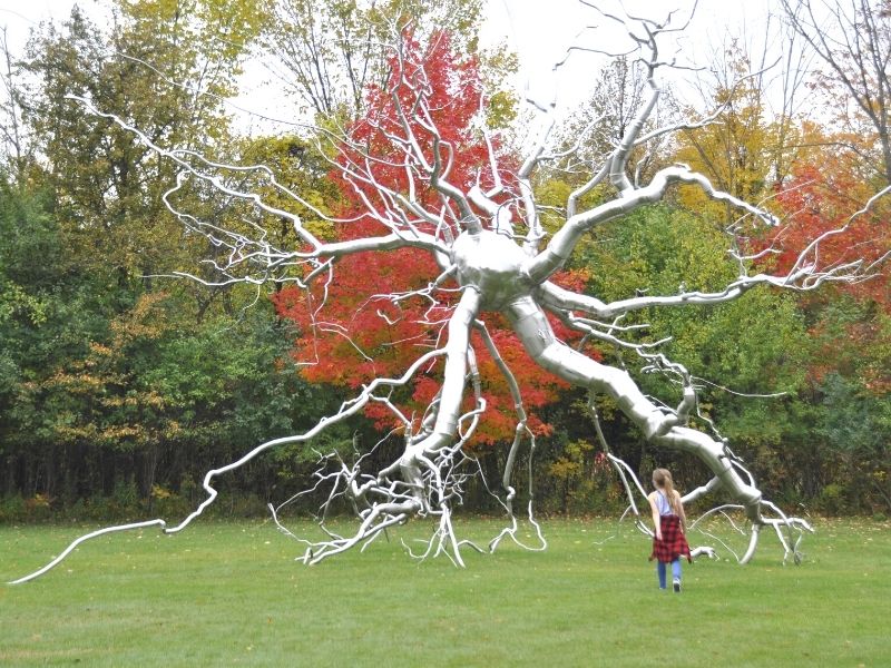 sculpture park frederik meijer gardens in fall