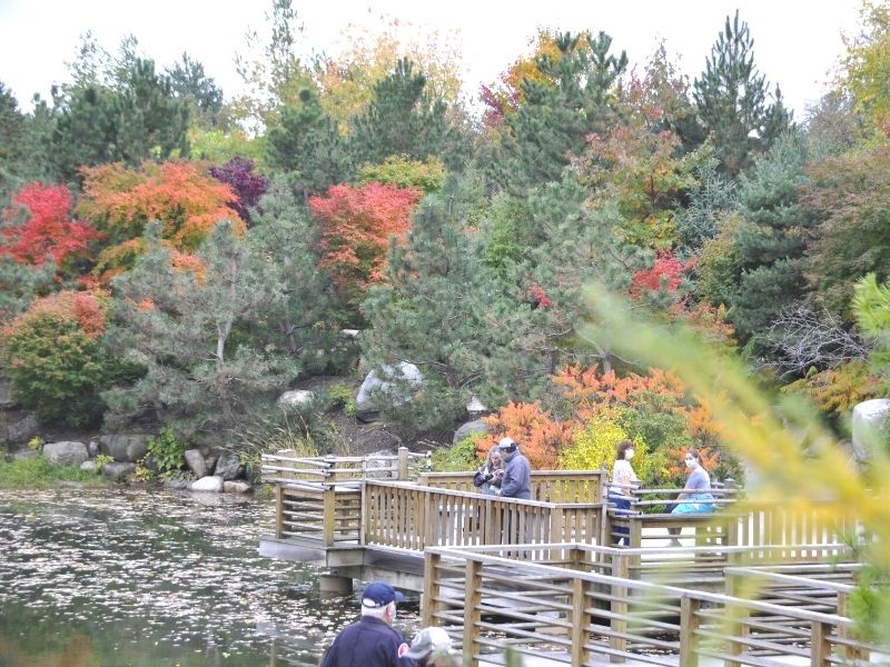 sculpture park japanese garden frederik meijer gardens in fall
