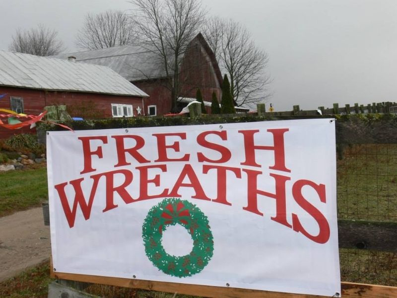 12+ Unforgettable Christmas Tree Farms in West Michigan that Let You