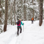 Best Places for Snowshoeing in Michigan, Plus Snow Shoe Rentals, Trail Info, Night Trails & More