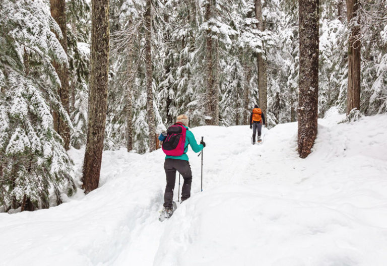 Best Places for Snowshoeing in Michigan, Plus Snow Shoe Rentals, Trail Info, Night Trails & More