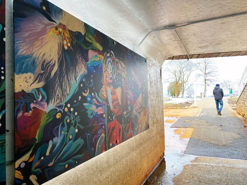 Mural-Art-Clinch-Park-Tunnel-Traverse-City
