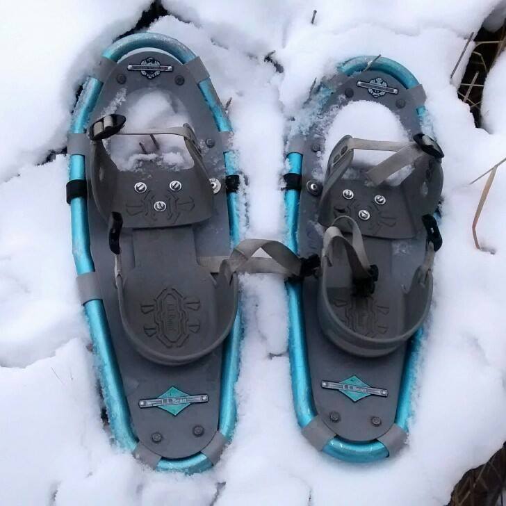 wittenbach wege snowshoes