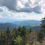 The Best Things to Do in Tennessee: 10 Activities You Can’t Miss